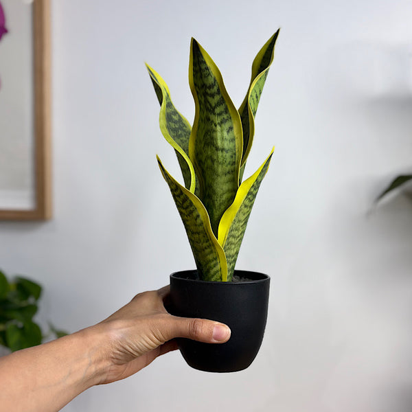 Artificial Sansevieria Snake Plant 37cmH