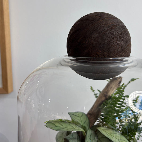 X-Large Helga Terrarium with Lush Forrest with Timber Base and Ball #0709
