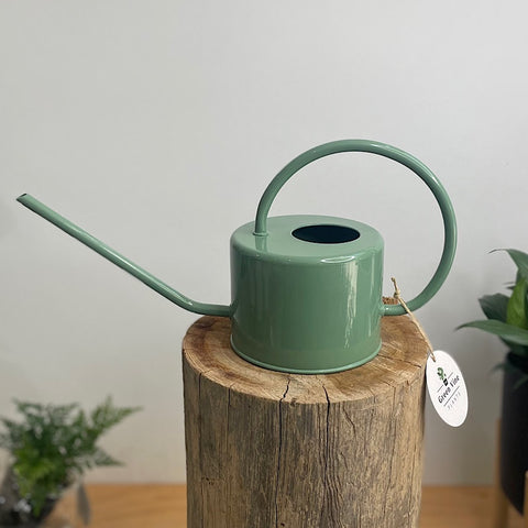 Porto Indoor Watering Can Eucalypt 1L