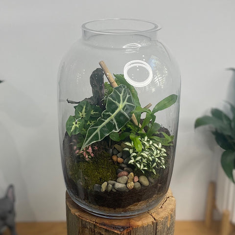 X-Large Globe Terrarium #2012