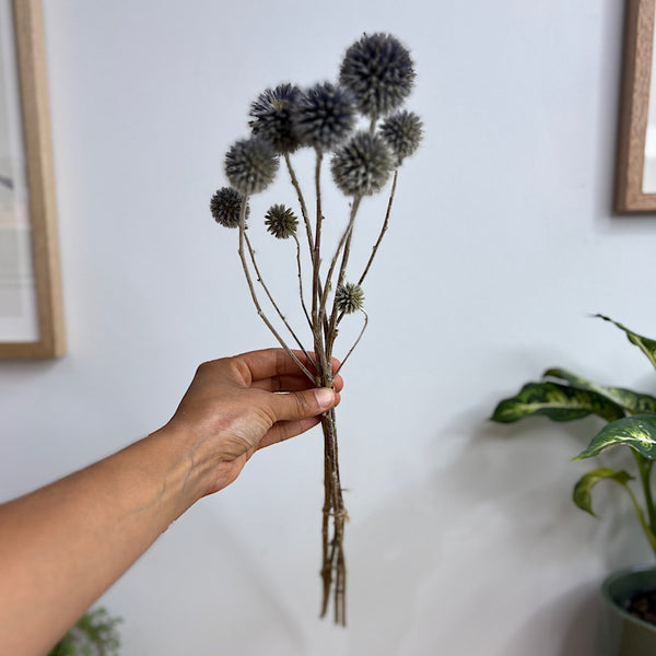 Dried Echinops Natural Blue