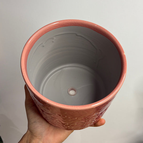 Protea Planter Pot Pink 14cm