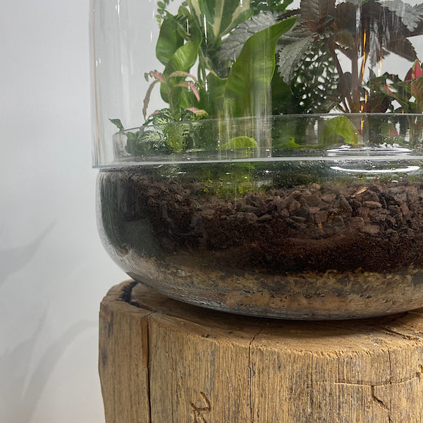 Large Teardrop Dome Terrarium #0423