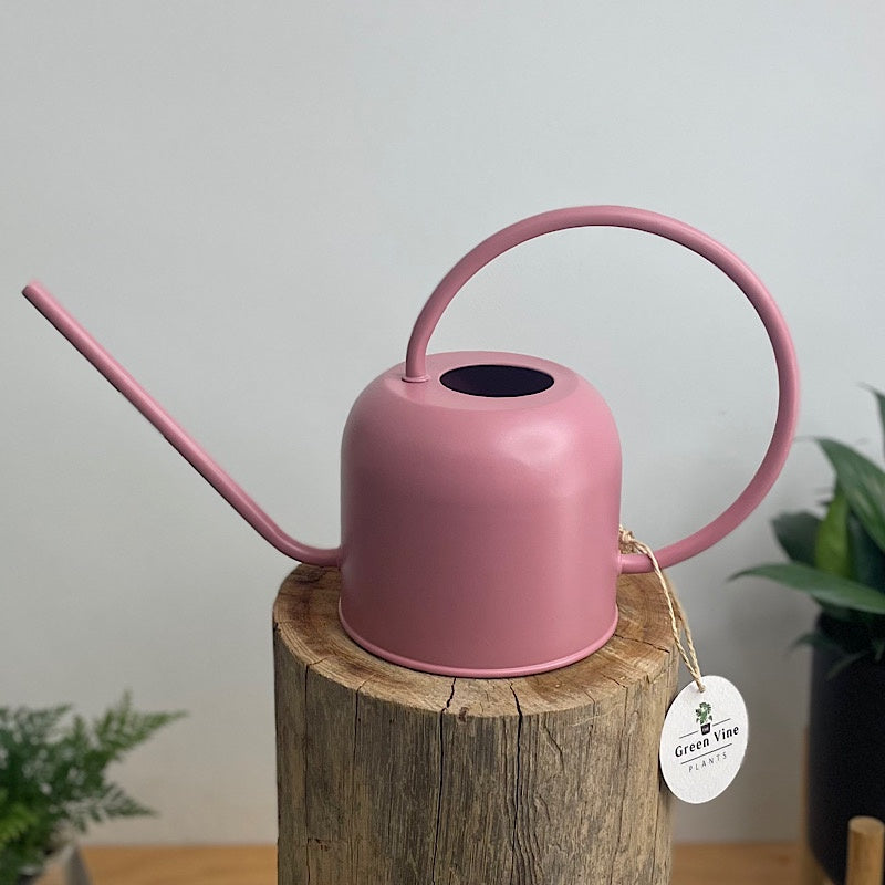 Como Watering Can 1.7L Dusty Rose