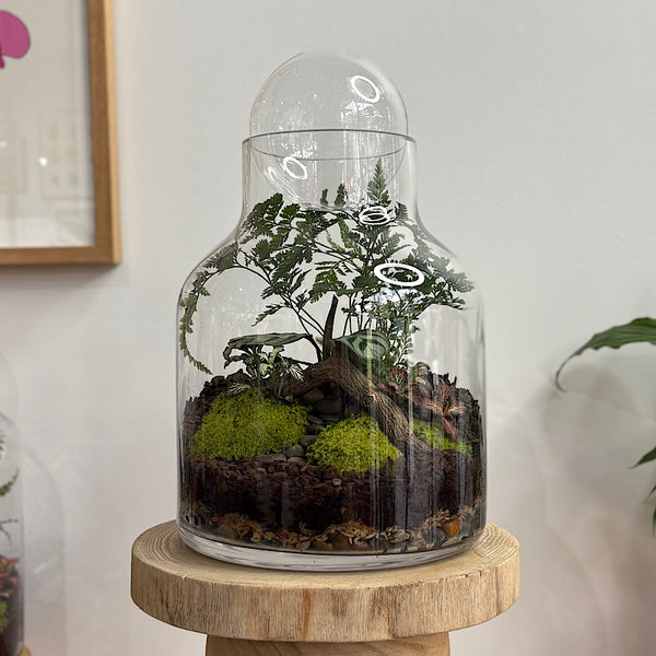 Lush Large Bell Terrarium with Glass Orb #2608