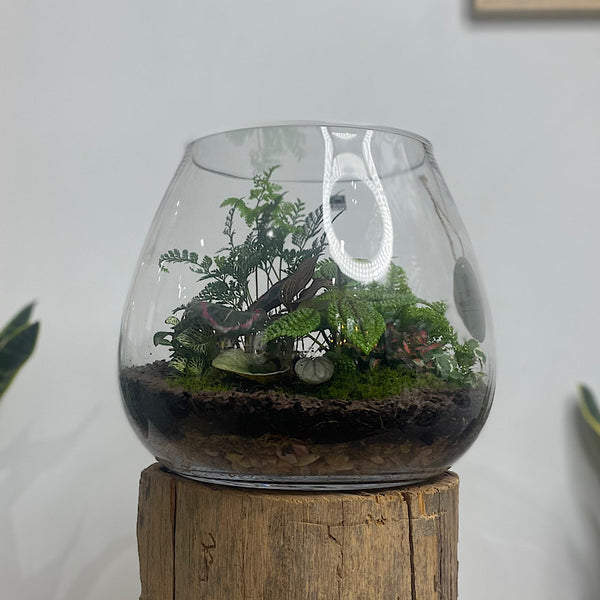 Lush Teardrop Terrarium #0422