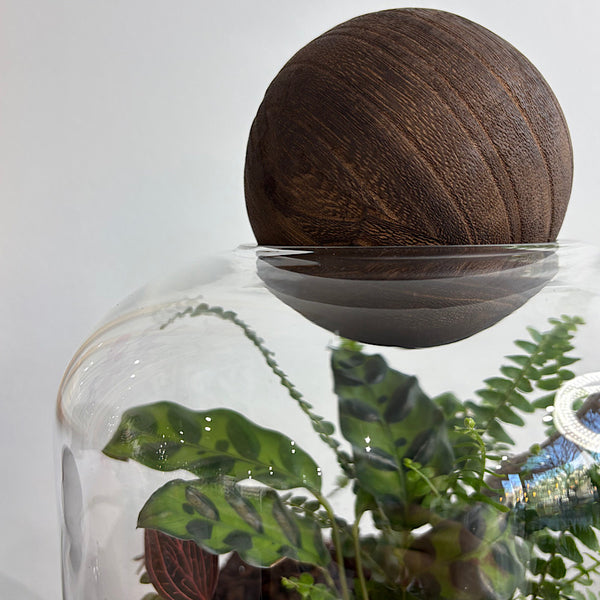 Large Helga Terrarium with Lush Forrest with Timber Base and Ball #0709