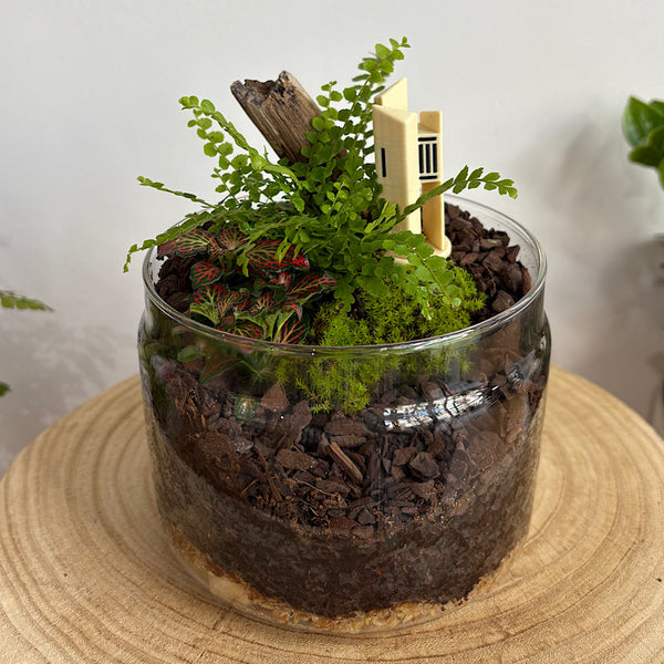 Capsule Dome Forrest Terrarium with Carillon