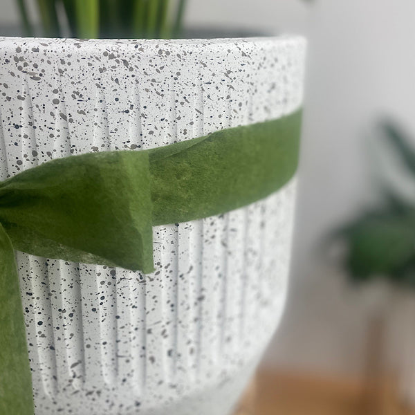 Peace Lily in Orsola Pot White Speckle