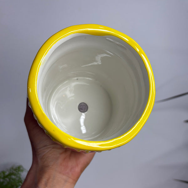 Oz Icon 'Vegemite' Planter Pot 10cm