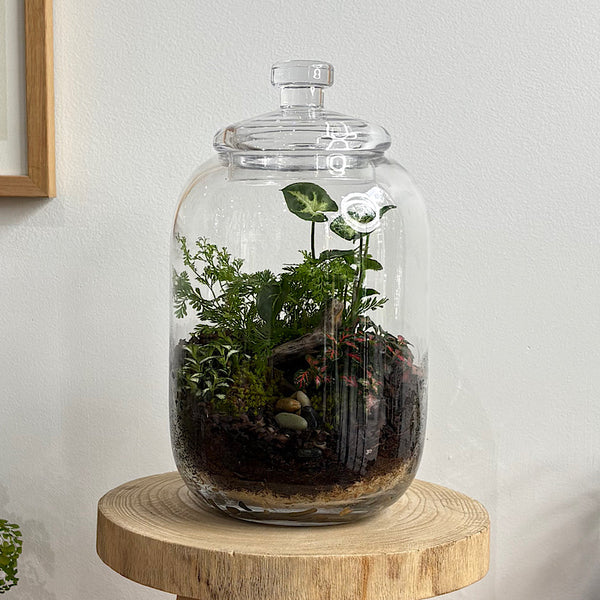 Large Frida Lush Terrarium