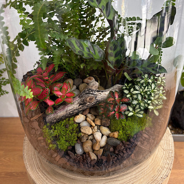 Large Globe Terrarium with Lush Forrest #2509