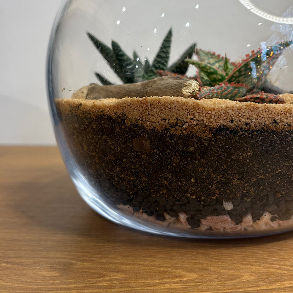 Open Cut Orb Succulent Terrarium Medium
