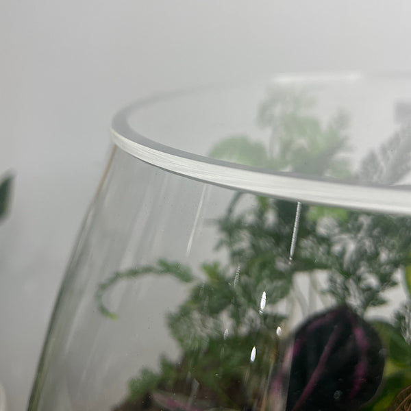 Lush Teardrop Terrarium #0423