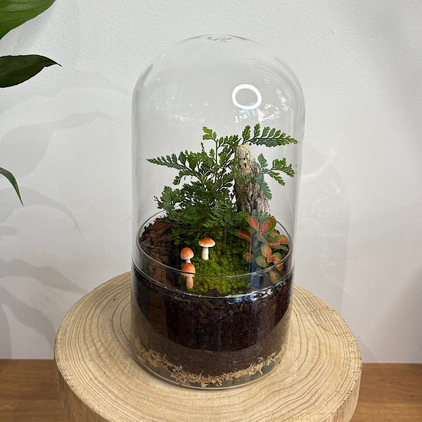 Capsule Dome Forrest Terrarium with Mushrooms