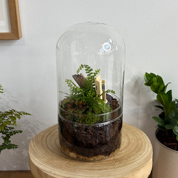 Capsule Dome Forrest Terrarium with Carillon