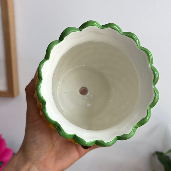 Penny Pineapple Friends Pot
