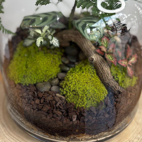Lush Large Bell Terrarium with Glass Orb #2608