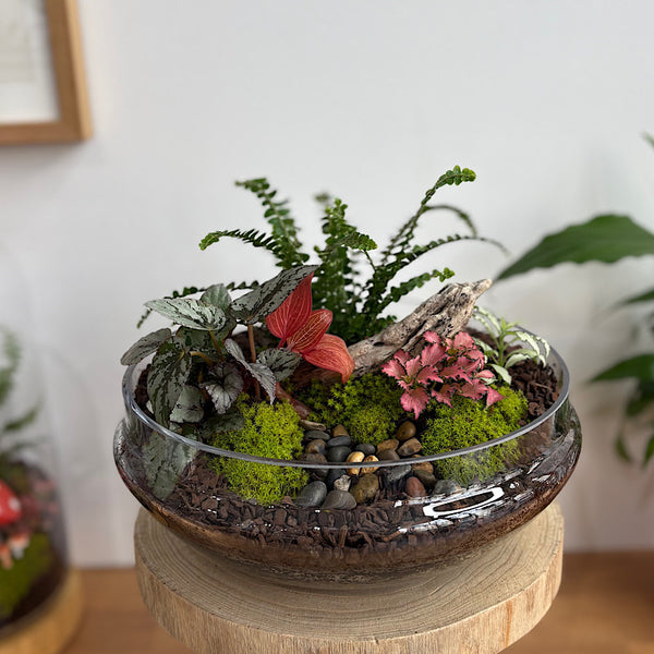 Large Luka Teardrop Dome Lush Terrarium #2608