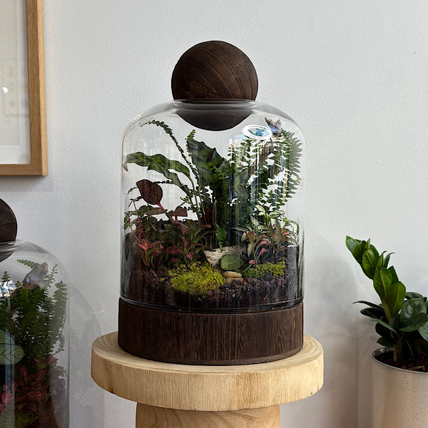 Large Helga Terrarium with Lush Forrest with Timber Base and Ball #0709