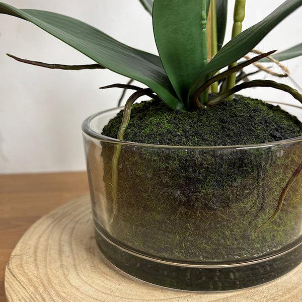 Artificial Phalaenopsis White Orchid in Pot