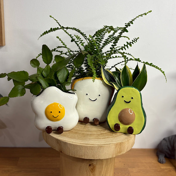 Rhipsalis in Ellie Egg Pot