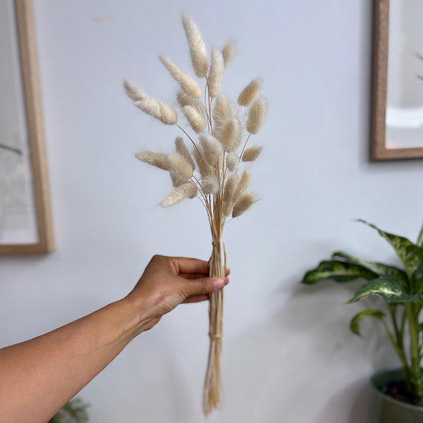 Preserved Bunny Tails