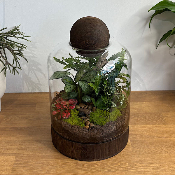 Large Helga Terrarium with Lush Forrest with Timber Base and Ball #0209