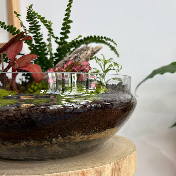 Large Luka Teardrop Dome Lush Terrarium #2608
