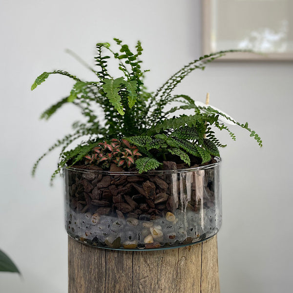 Glass Indoor Garden Bowl #2610