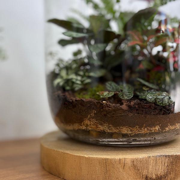 X-Large Globe Terrarium #1912