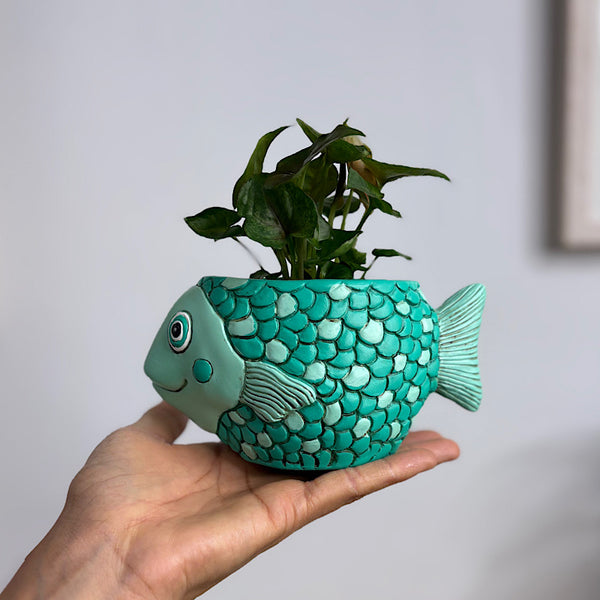 Syngonium in Baby Fish Pot Teal