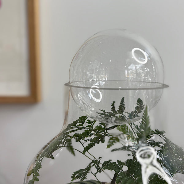 Lush Large Bell Terrarium with Glass Orb #2608