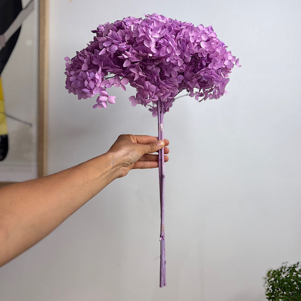 Preserved Hydrangea Lavender