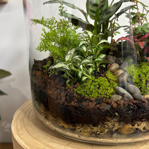 Lush Large Bell Terrarium with Glass Orb #0406
