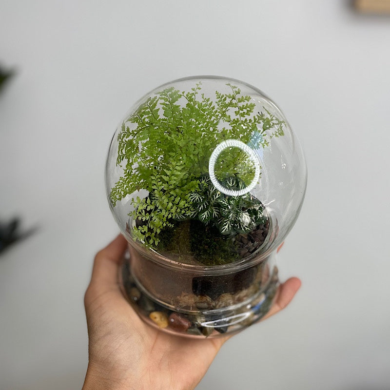 Enclosed Small Snow Globe Dome Terrarium