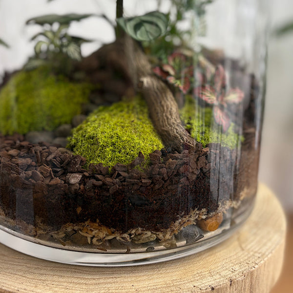 Lush Large Bell Terrarium with Glass Orb #2608