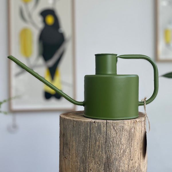 Merlino Watering Can Avocado 1L