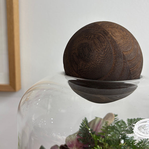 Large Helga Terrarium with Lush Forrest with Timber Base and Ball #1510