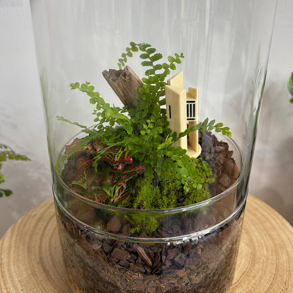 Capsule Dome Forrest Terrarium with Carillon