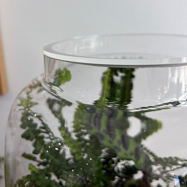 Large Globe Terrarium with Lush Forrest #2509