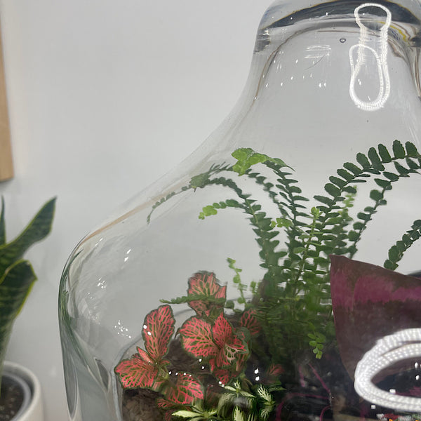 Large Teardrop Dome Terrarium #0422