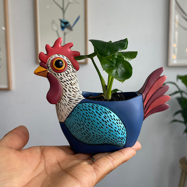 Philodendron in Baby Rooster Planter
