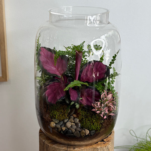 X-Large Globe Terrarium with Lush Forest #0802