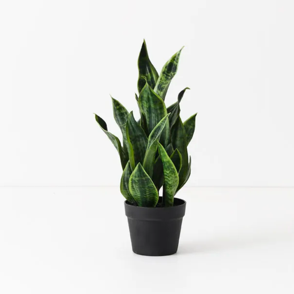 Artificial Sansevieria Snake Plant 51cmH
