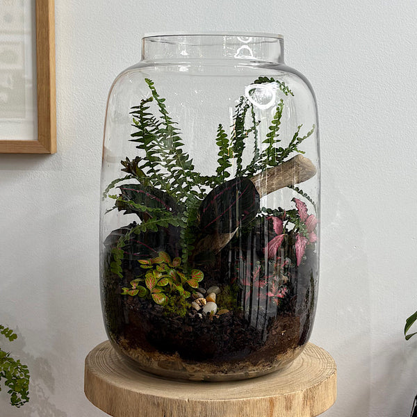 Large Globe Terrarium with Lush Forrest #1510