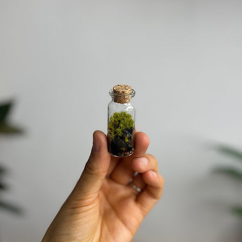 Nano Terrarium