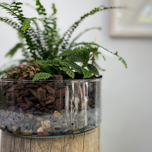 Glass Indoor Garden Bowl #2610