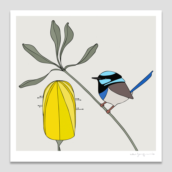 Superb Fairy-Wren and Banksia Art Print by Eggpicnic