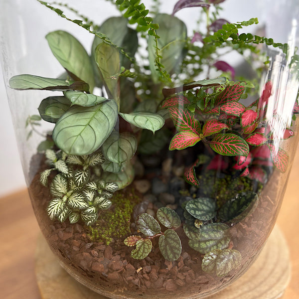 X-Large Globe Terrarium #1912